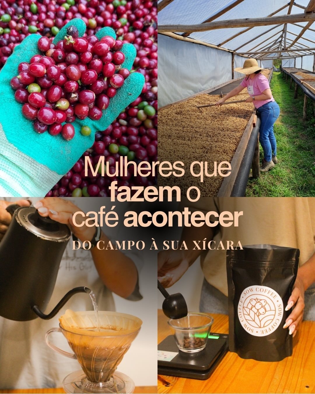 Mulheres que fazem o café acontecer - do campo à xícara